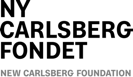 nyCarlsbergfondet-workshop
